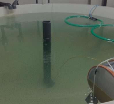 Top Fiberglass Tank Makers in UAE